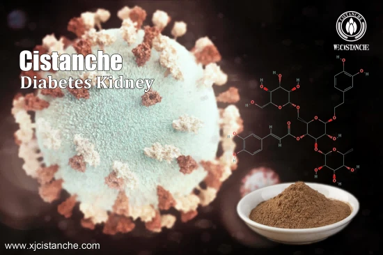 Cistanche Supplement Kidney Function Support Supplement PhGs75% Ech 30% Act 12% Cistanche Supplement Kidney Function Support Supplement PhGs75% Ech 30% Act 12%