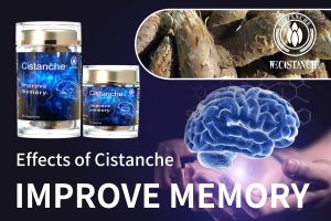 memory enhancement