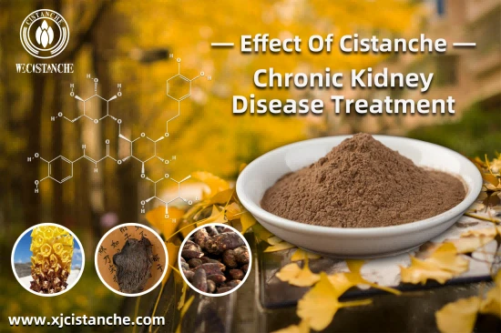 CISTANCHE TO WORK FOR KIDNEY CISTANCHE TO WORK FOR KIDNEY