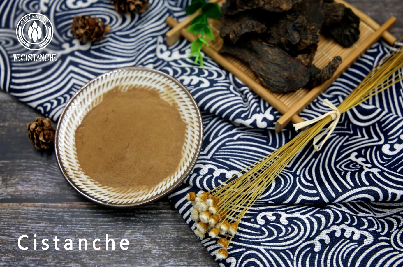 cistanche tubulosa ingredients for cosmetic and pharmaceutical cistanche tubulosa ingredients for cosmetic and pharmaceutical