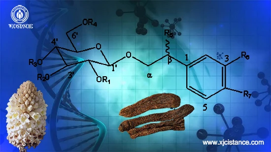 Phenylethanol glycoside is the main active component of Cistanche deserticola Phenylethanol glycoside is the main active component of Cistanche deserticola