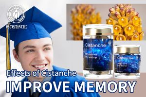 improve your memory