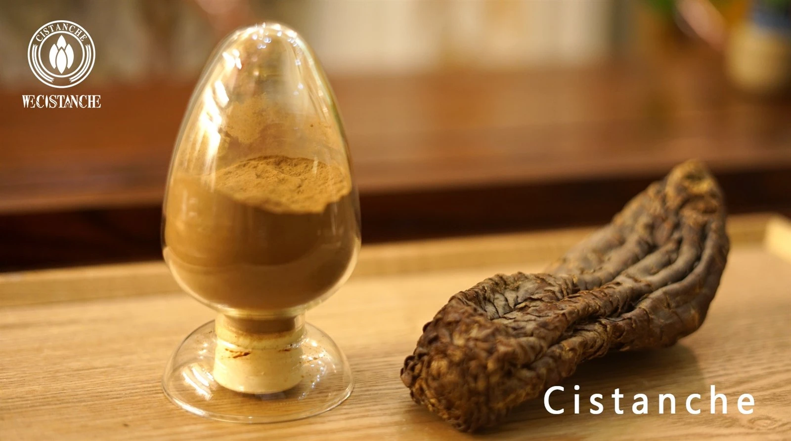 cistanche tubulosa for combating fatigue