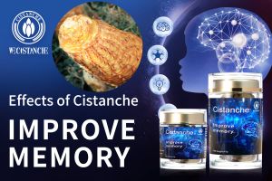 boost memory boost memory