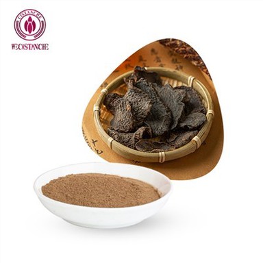 Makanan Tambahan Cistanche Tubulosa