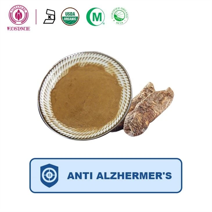 Ekstrak Cistanche Anti Alzhermer