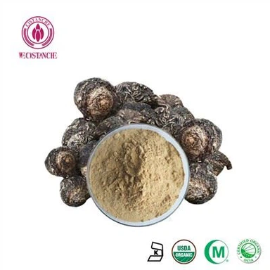 Serbuk Maca Hitam Wecistanche
