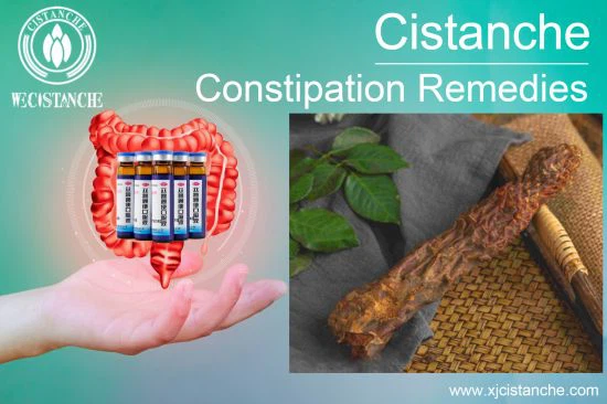 cistanche for inflammatory bowel 7 cistanche for inflammatory bowel 7